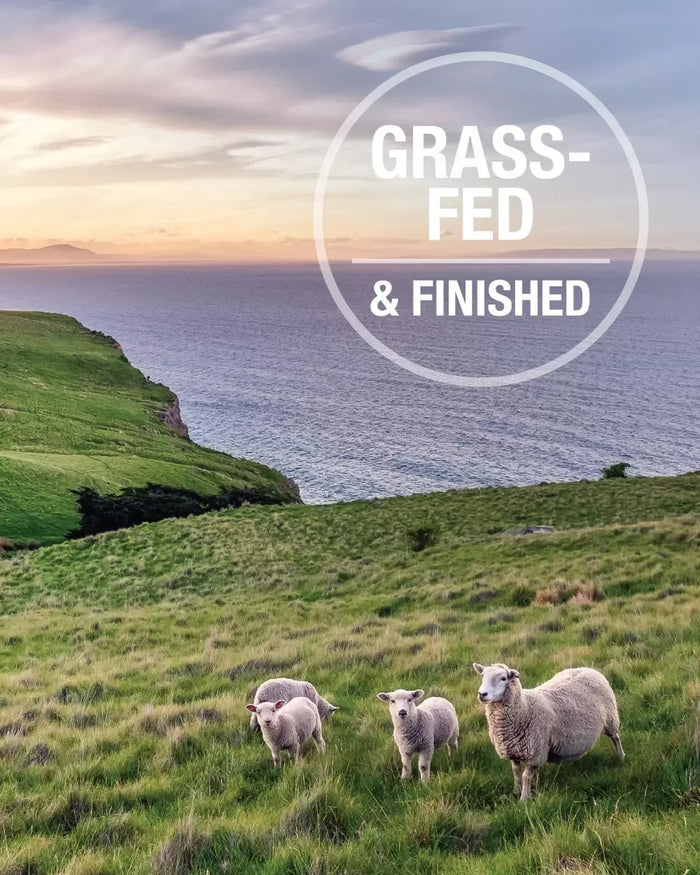 Feline Natural Freeze-Dried Lamb Feast features grazing sheep in a coastal pasture at sunrise, highlighting its grass-fed and finished lamb source.