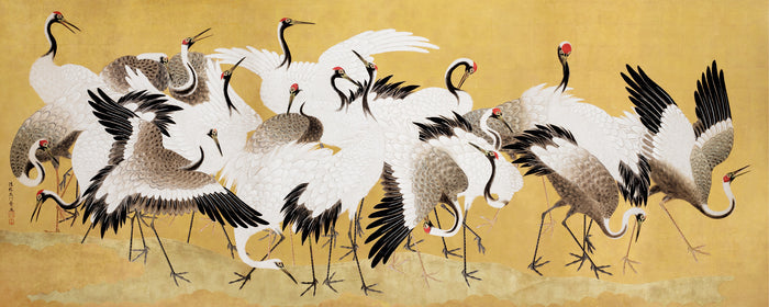 Flock of Elegant Japanese Cranes