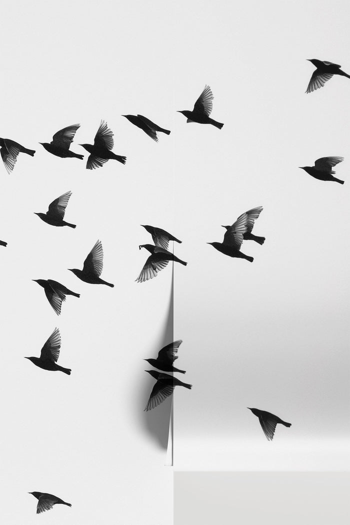 Flock of Sparrows