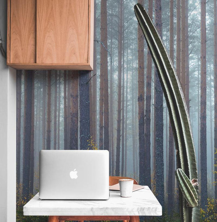 Foggy Morning Forest Wall Mural-Wall Mural-Eazywallz