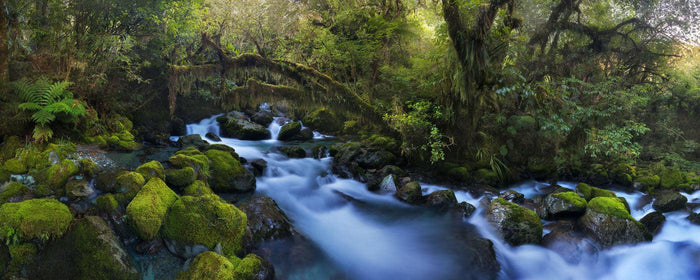 Forest Landscape & Mountain Stream Wall Mural-Wall Mural-Eazywallz
