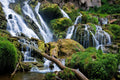 Forest Wander Wall Mural-Wall Mural-Eazywallz