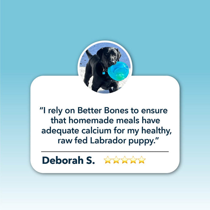 Circular image of a Labrador puppy with a toy, endorsing Four Leaf Rover Better Bones - Dried Bone for Homemade Diets for balanced calcium and phosphorus in meals.