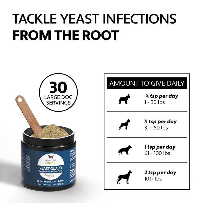 Four Leaf Rover Yeast Guard - Anti-Fungal Herbs features a black jar with tan powder, wooden scoop, and label highlighting gut flora support and detoxification.