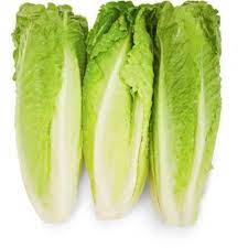 FRSHROMAINELET3CT.jpg