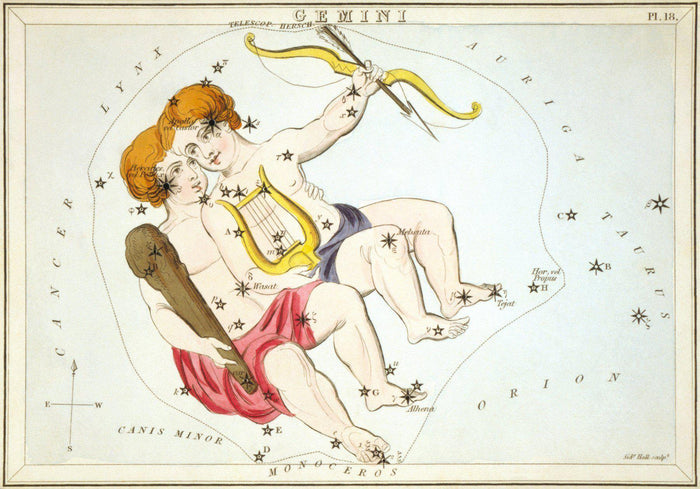 Gemini Wall Mural-Wall Mural-Eazywallz