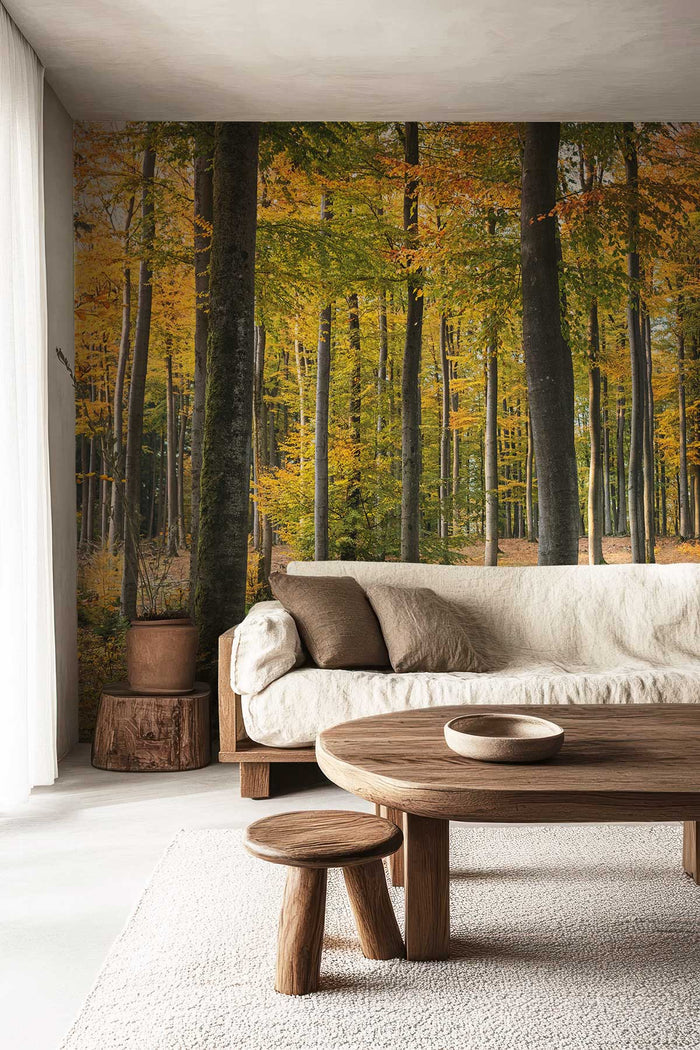 Golden Fall Forest