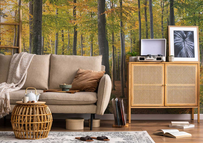 Golden Fall Forest