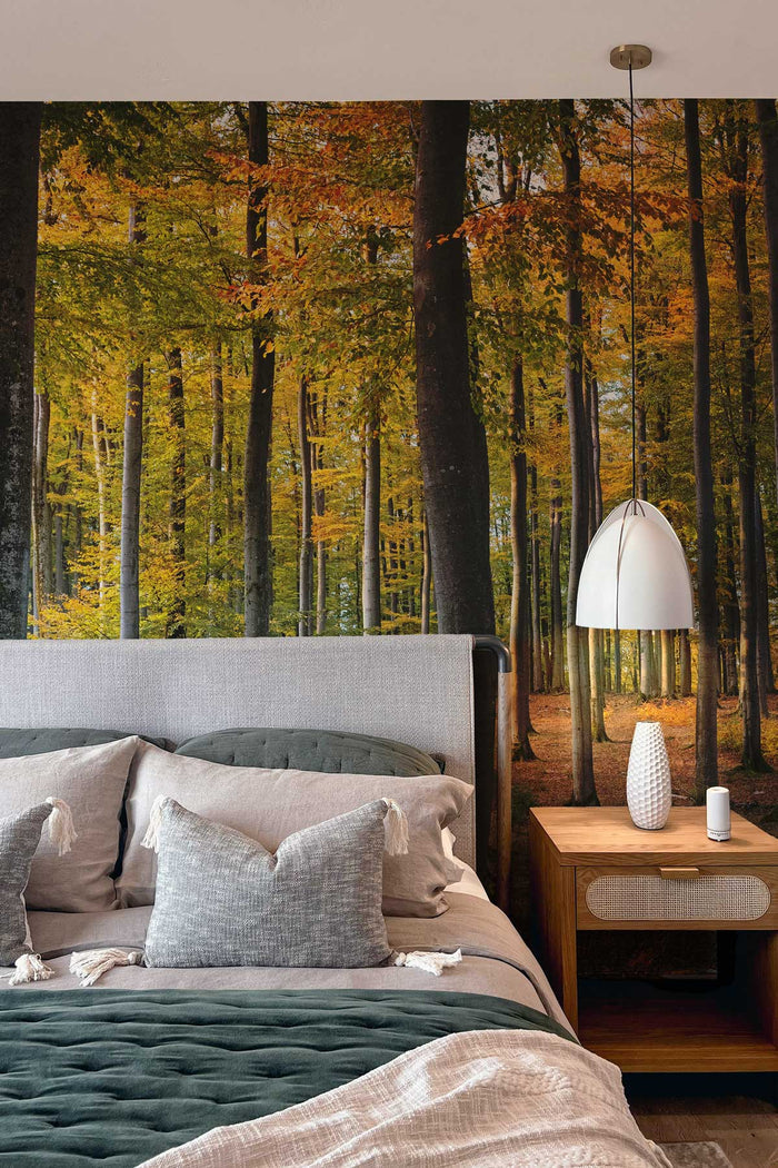 Golden Fall Forest