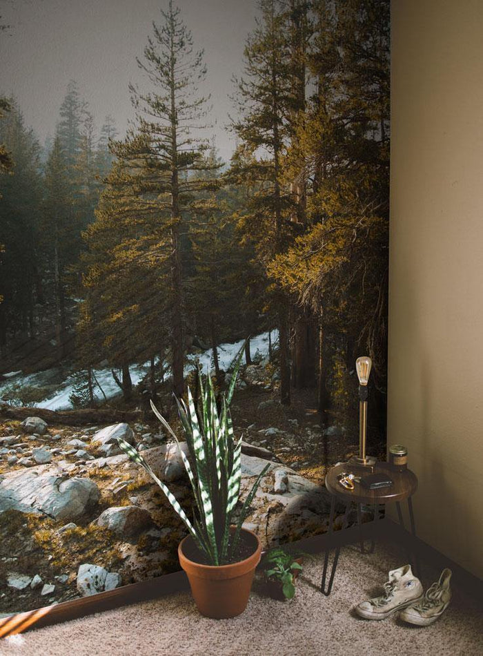 Golden Hour at Yosemite Park Wall Mural-Wall Mural-Eazywallz