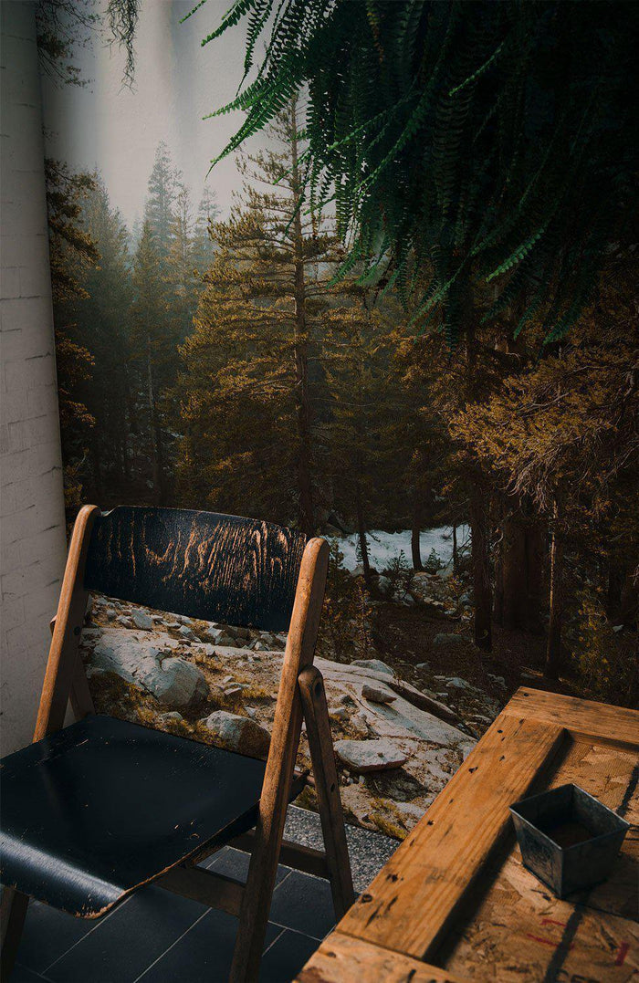 Golden Hour at Yosemite Park Wall Mural-Wall Mural-Eazywallz