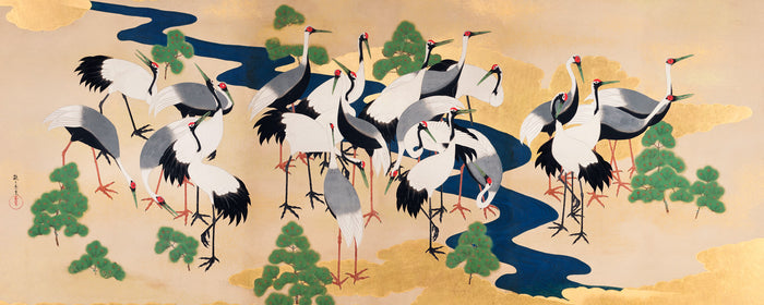 Graceful Flight of Japanese Cranes