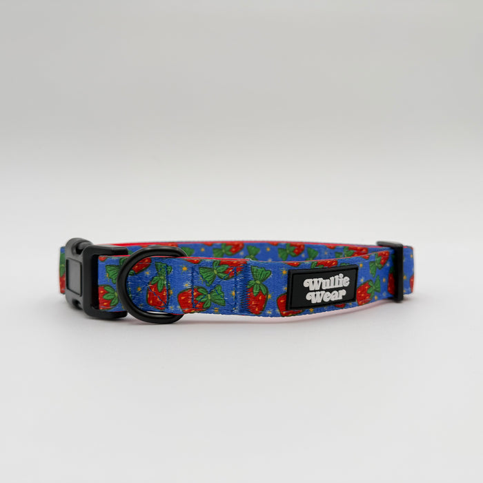 Grandma's Candy Dish Comfort Collar