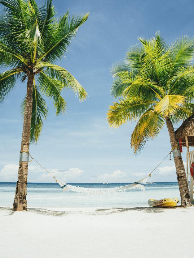 Hammock in Paradise Wall Mural-Wall Mural-Eazywallz