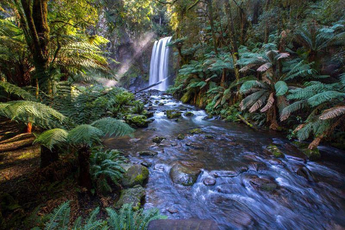 Hopetoun Falls, Australia Wall Mural-Wall Mural-Eazywallz