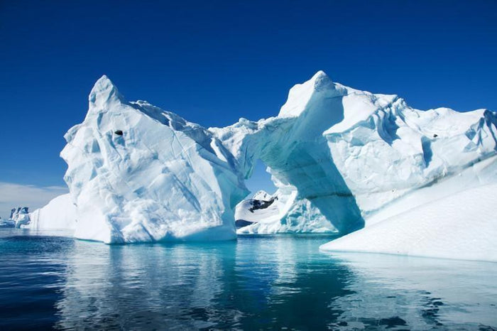 Iceberg in Antarctica Wall Mural-Wall Mural-Eazywallz