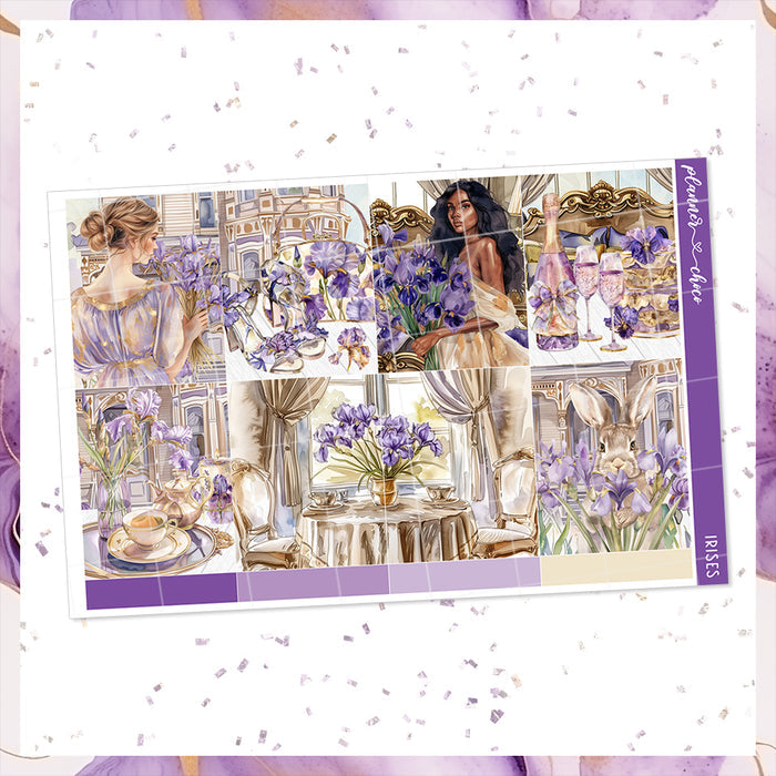 Irises / weekly kit