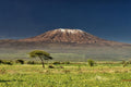Kilimanjaro, Kenya Wall Mural-Wall Mural-Eazywallz