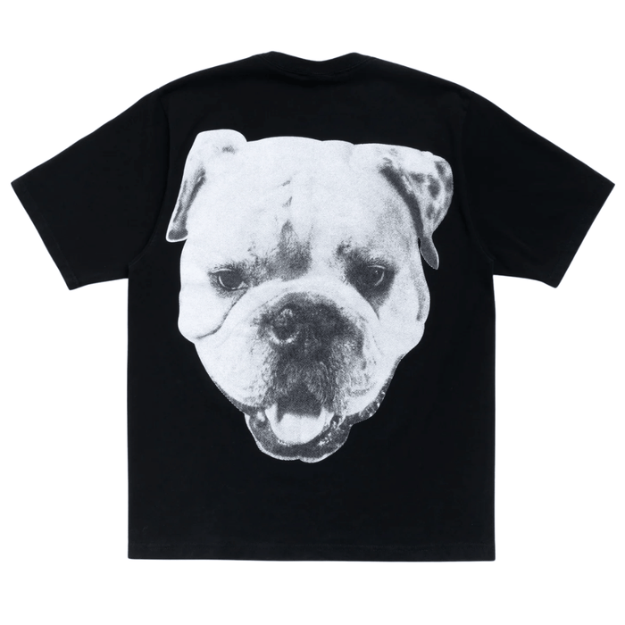 Koszulka Stussy Big Dog Washed Tee Black STUSSY Koszulki