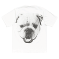 Koszulka Stussy Big Dog Washed Tee White STUSSY Koszulki