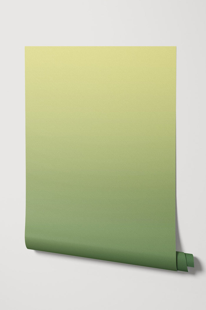 Lemony Lime Wallpaper