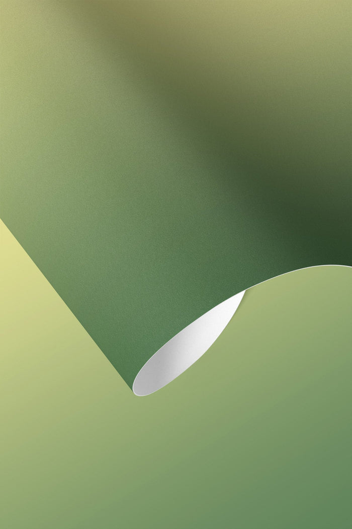 Closeup of Lemony Lime Wallpaper