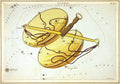 Libra Wall Mural-Wall Mural-Eazywallz