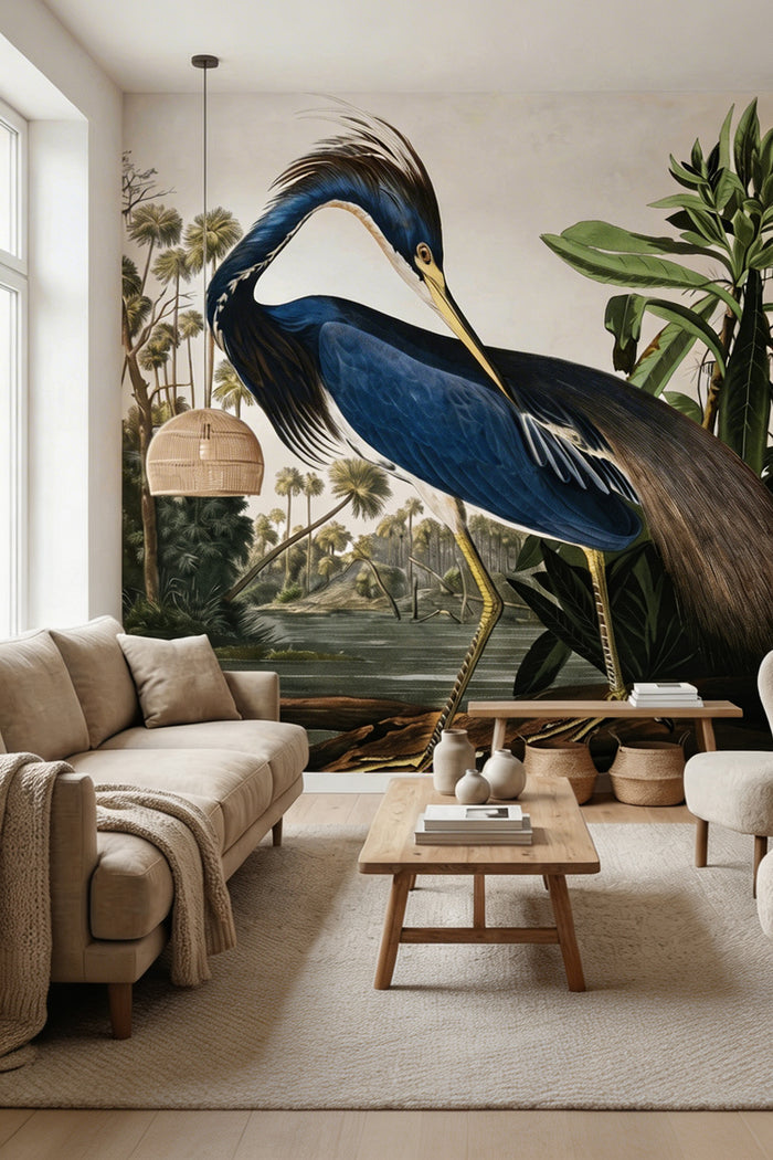 Louisiana Heron