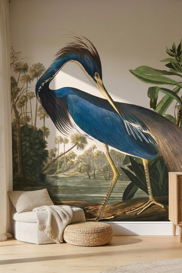 Louisiana Heron