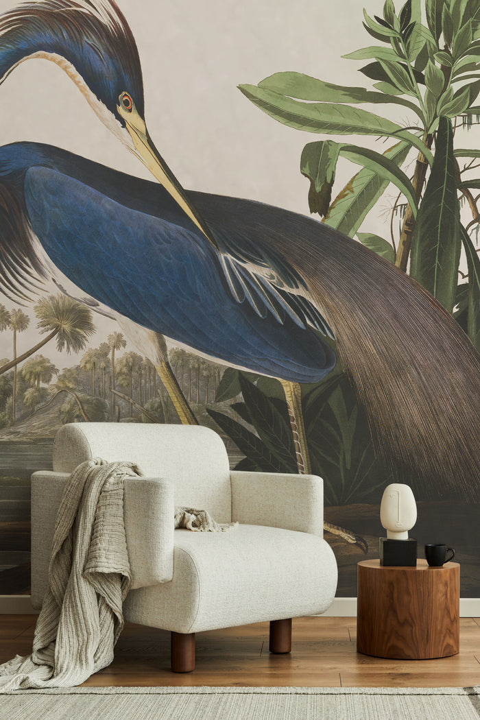 Louisiana Heron