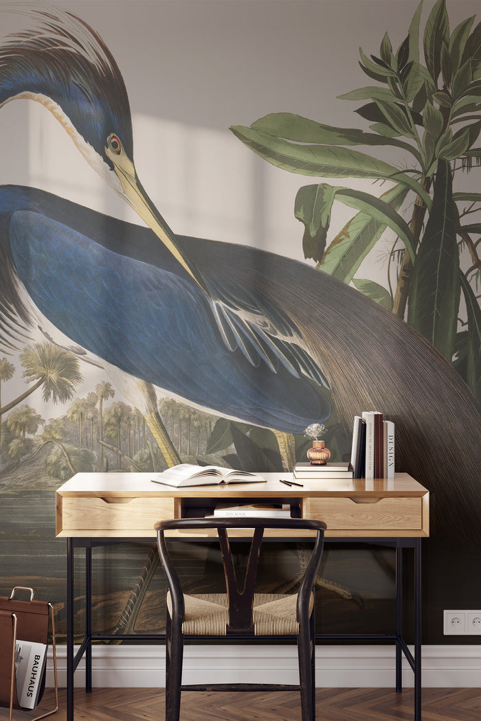 Louisiana Heron