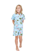 Made in Hawaii Boy Cabana Set Flamingo All Over Blue