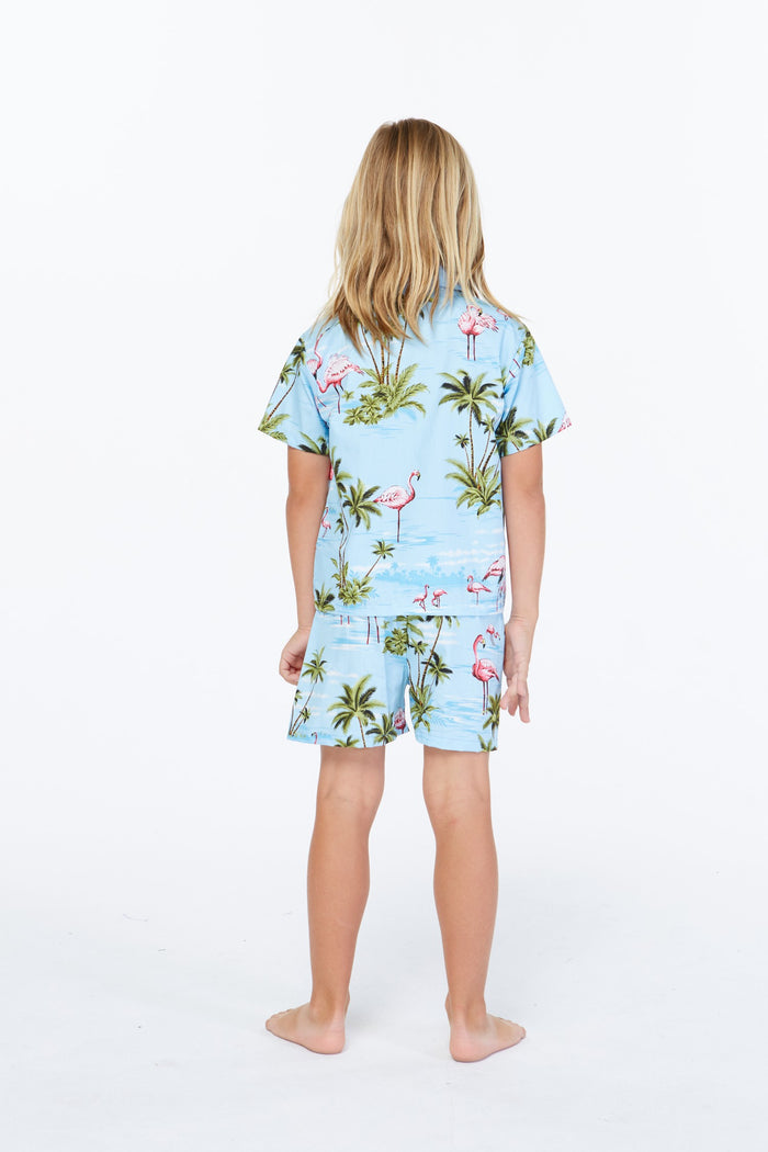 Made in Hawaii Boy Cabana Set Flamingo All Over Blue