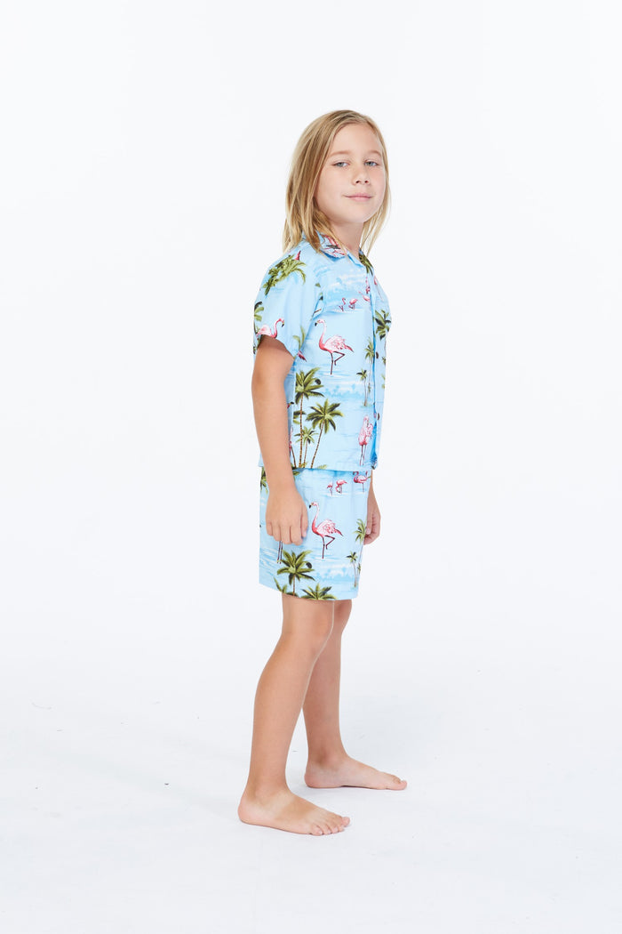 Made in Hawaii Boy Cabana Set Flamingo All Over Blue