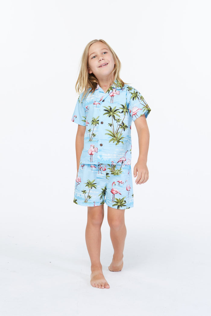Made in Hawaii Boy Cabana Set Flamingo All Over Blue