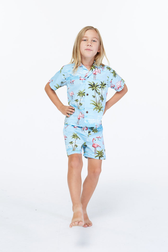 Made in Hawaii Boy Cabana Set Flamingo All Over Blue
