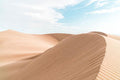 Middle of the Desert Wall Mural-Wall Mural-Eazywallz