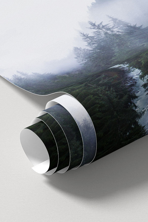 Misty Evergreen