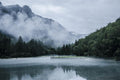 Mountain with Foggy Landscape Wall Mural-Wall Mural-Eazywallz