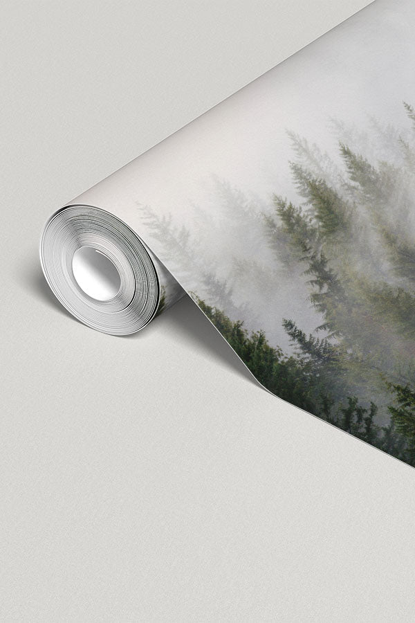 Mystic Forest Landscape