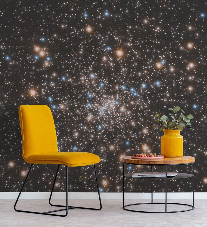 NGC6397 Space Wall Mural-Wall Mural-Eazywallz