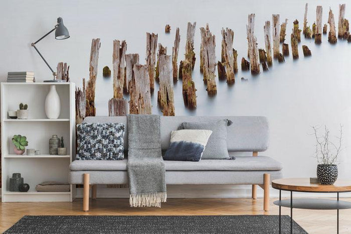 Old Trunks out of Water Wall Mural-Wall Mural-Eazywallz