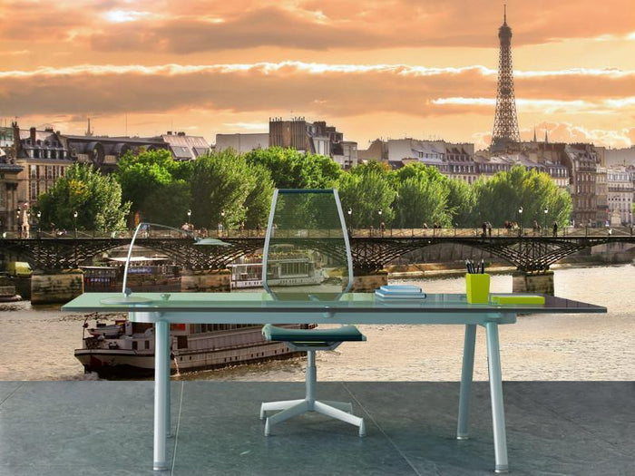 On the Seine river in Paris Wall Mural-Wall Mural-Eazywallz