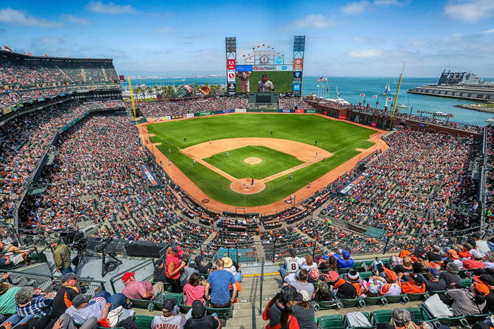 Oracle Park Baseball Stadium Wall Mural-Wall Mural-Eazywallz