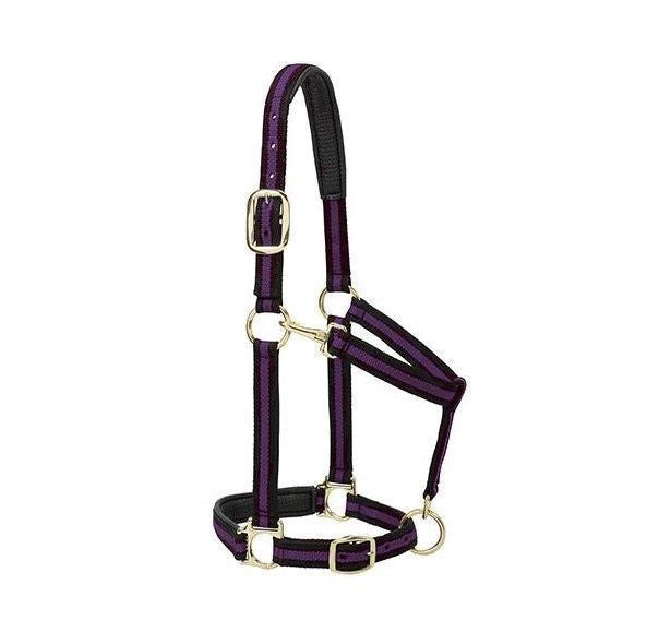 Padded Adj Equine Halter Chin & Throat Purple Large
