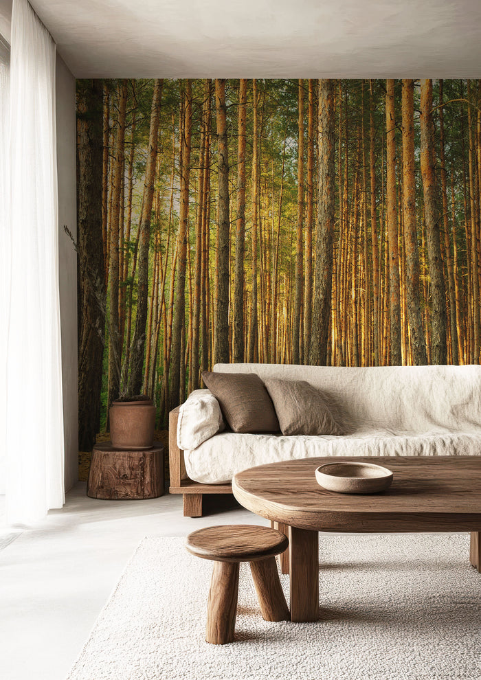 Pine tree forest