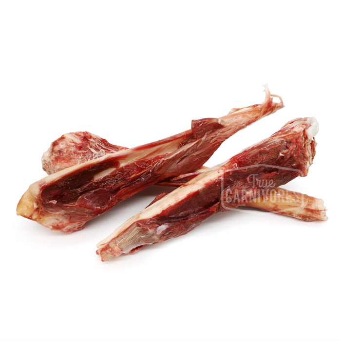 Raw Kangaroo Shank