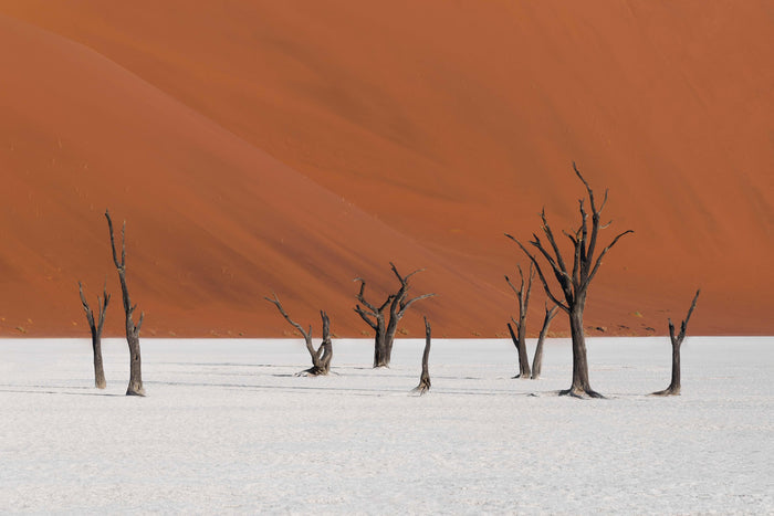 Red Dune Wall Mural-Wall Mural-Eazywallz