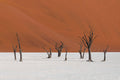 Red Dune Wall Mural-Wall Mural-Eazywallz
