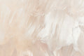 Rose Gold Paint Strokes 2 Wall Mural